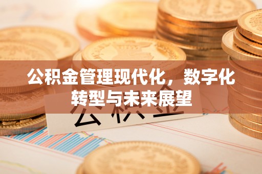 景谷公积金管理现代化，数字化转型与未来展望