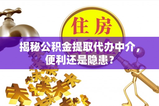 景谷揭秘公积金提取代办中介，便利还是隐患？