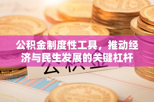 景谷公积金制度性工具，推动经济与民生发展的关键杠杆