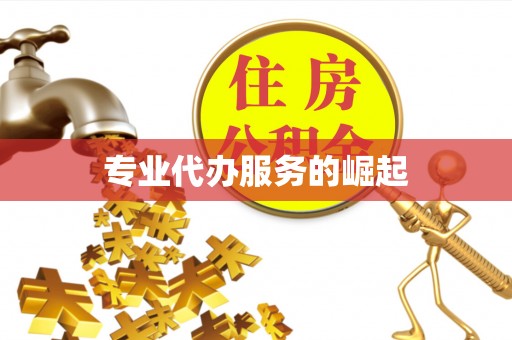 景谷专业代办服务的崛起