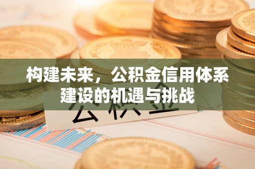 景谷构建未来，公积金信用体系建设的机遇与挑战