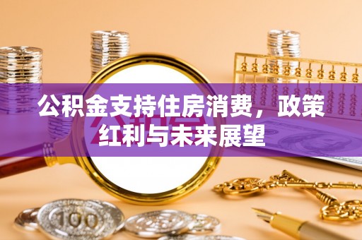 景谷公积金支持住房消费，政策红利与未来展望