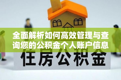 景谷全面解析如何高效管理与查询您的公积金个人账户信息