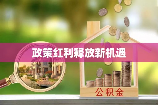景谷政策红利释放新机遇