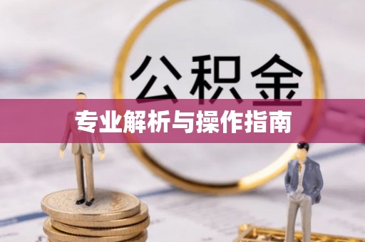 景谷专业解析与操作指南