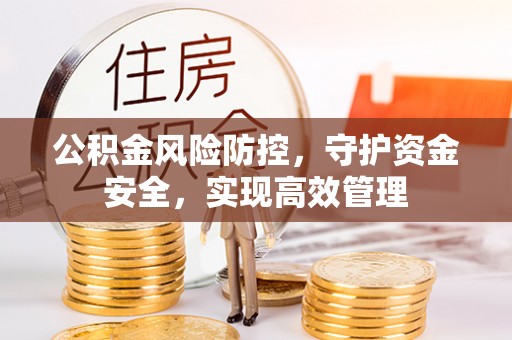 景谷公积金风险防控，守护资金安全，实现高效管理