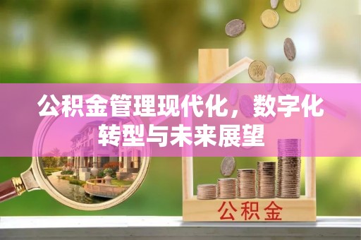 景谷公积金管理现代化，数字化转型与未来展望