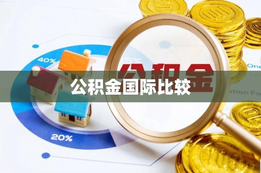 景谷公积金国际比较