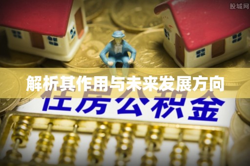 景谷解析其作用与未来发展方向